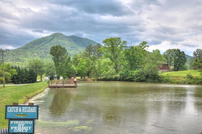 Private Smoky Mountain Luxury Log Home With 2 Fireplaces, Hot Tub & Community Pool เซอเวียร์วีล ภายนอก รูปภาพ